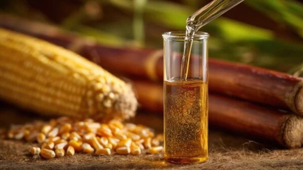 India’s Clean Energy Push Gets a Boost as Maize Leads Ethanol Production